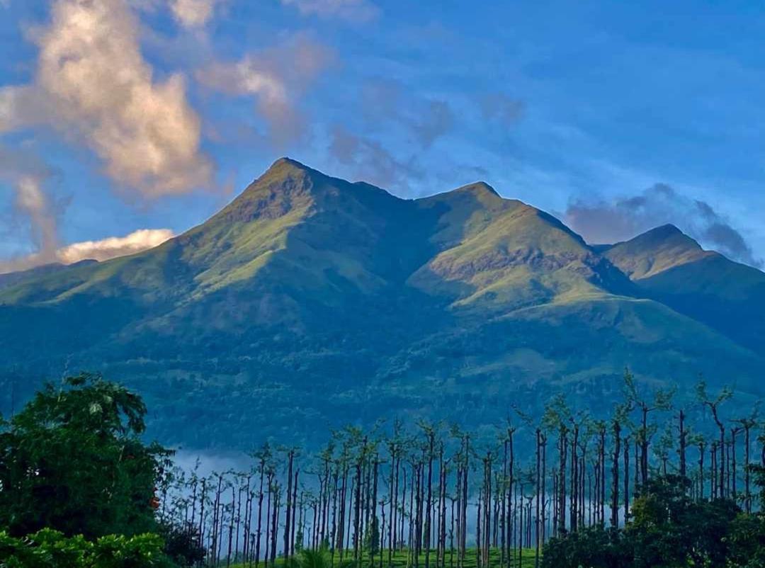 Jungle Valley Ayurvedic Spa Resort Meppādi 외부 사진