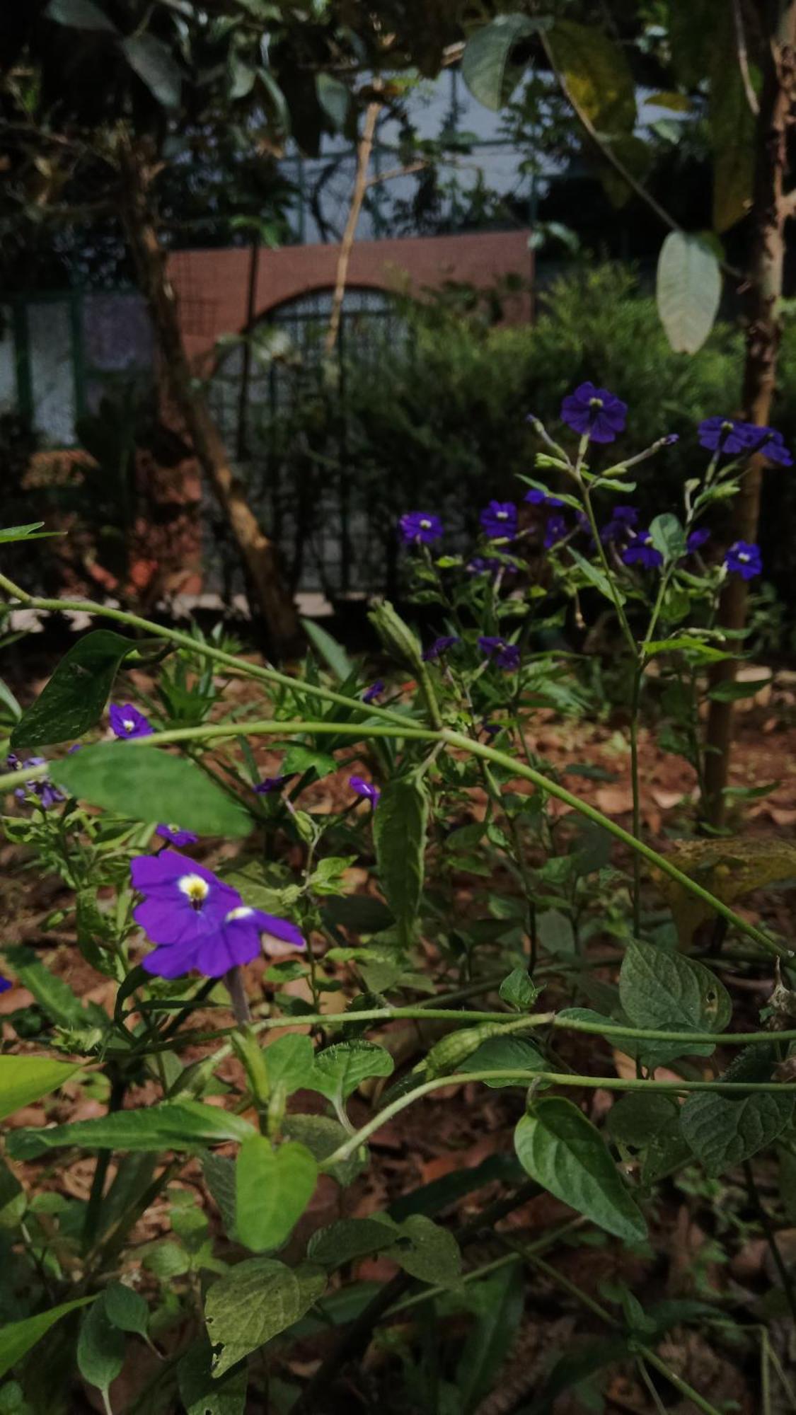 Jungle Valley Ayurvedic Spa Resort Meppādi 외부 사진