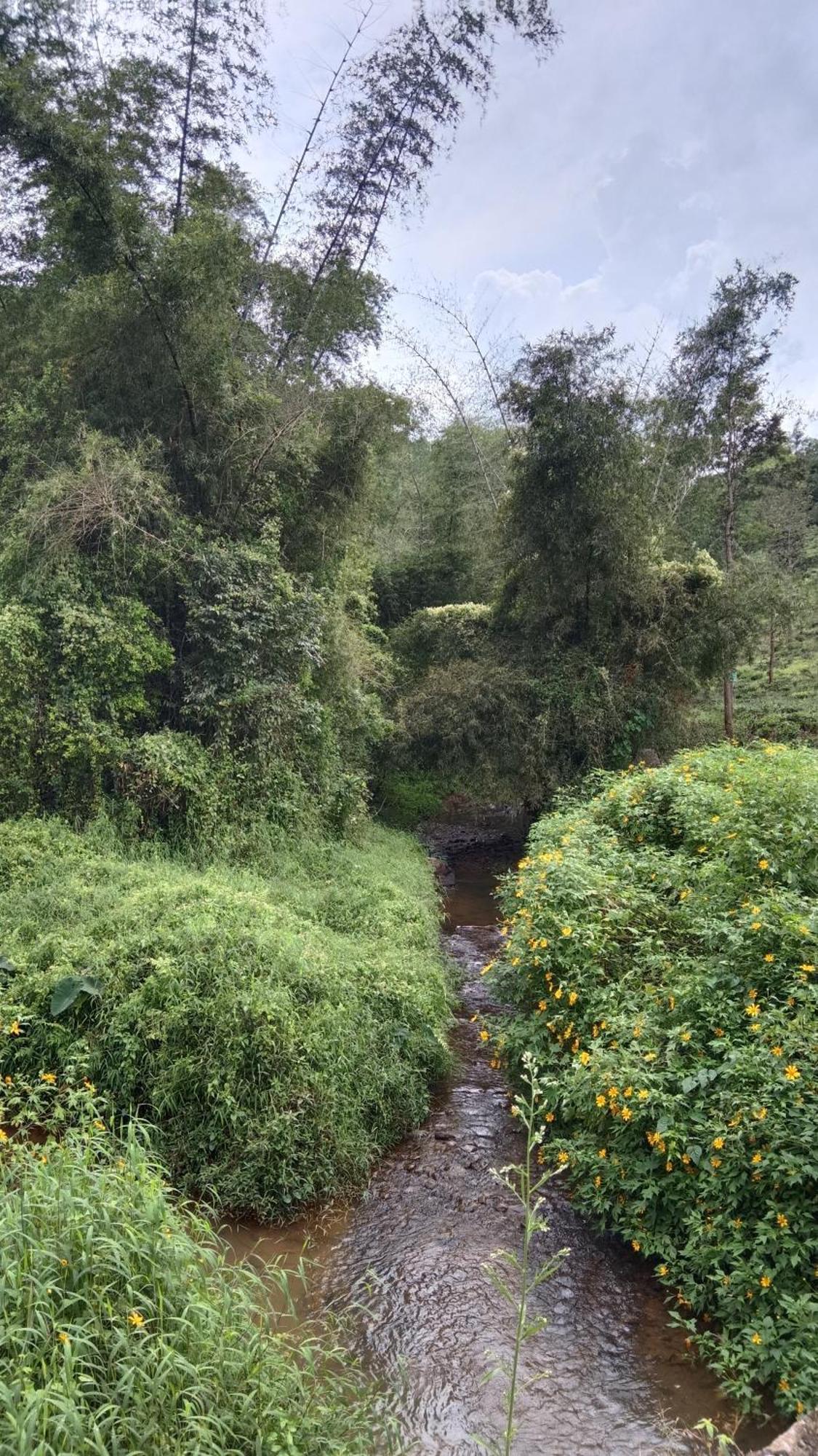 Jungle Valley Ayurvedic Spa Resort Meppādi 외부 사진