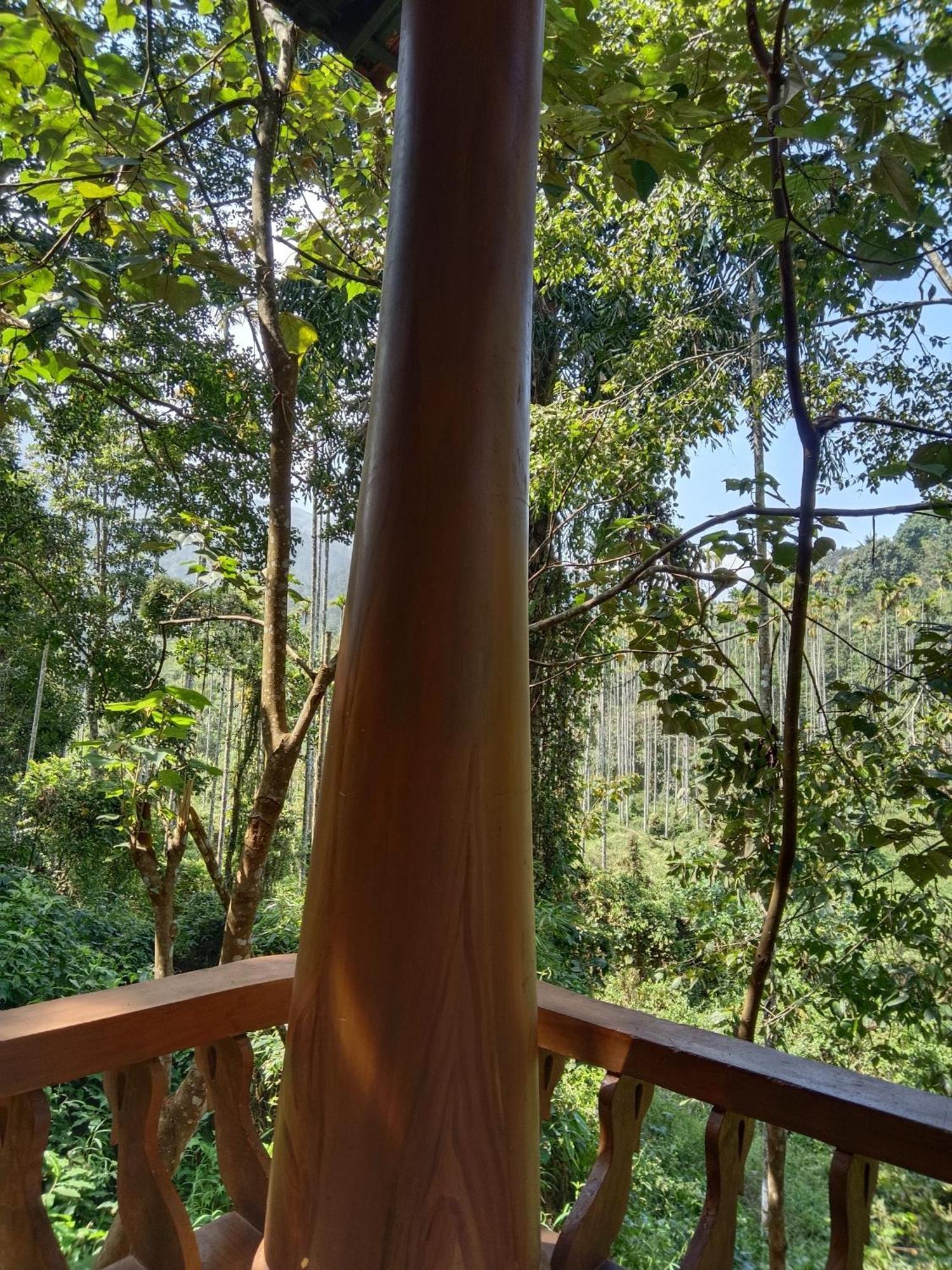Jungle Valley Ayurvedic Spa Resort Meppādi 외부 사진