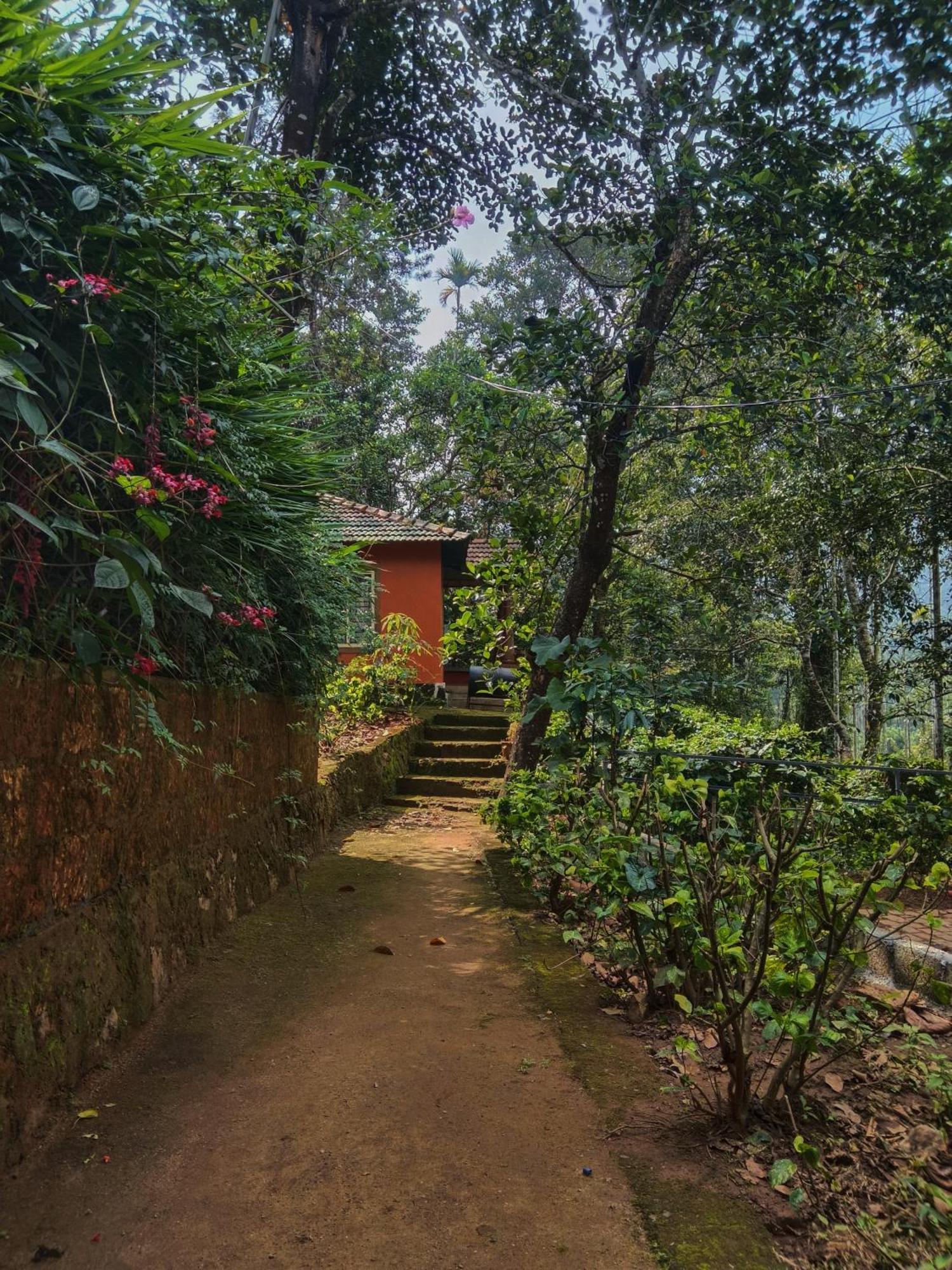 Jungle Valley Ayurvedic Spa Resort Meppādi 외부 사진