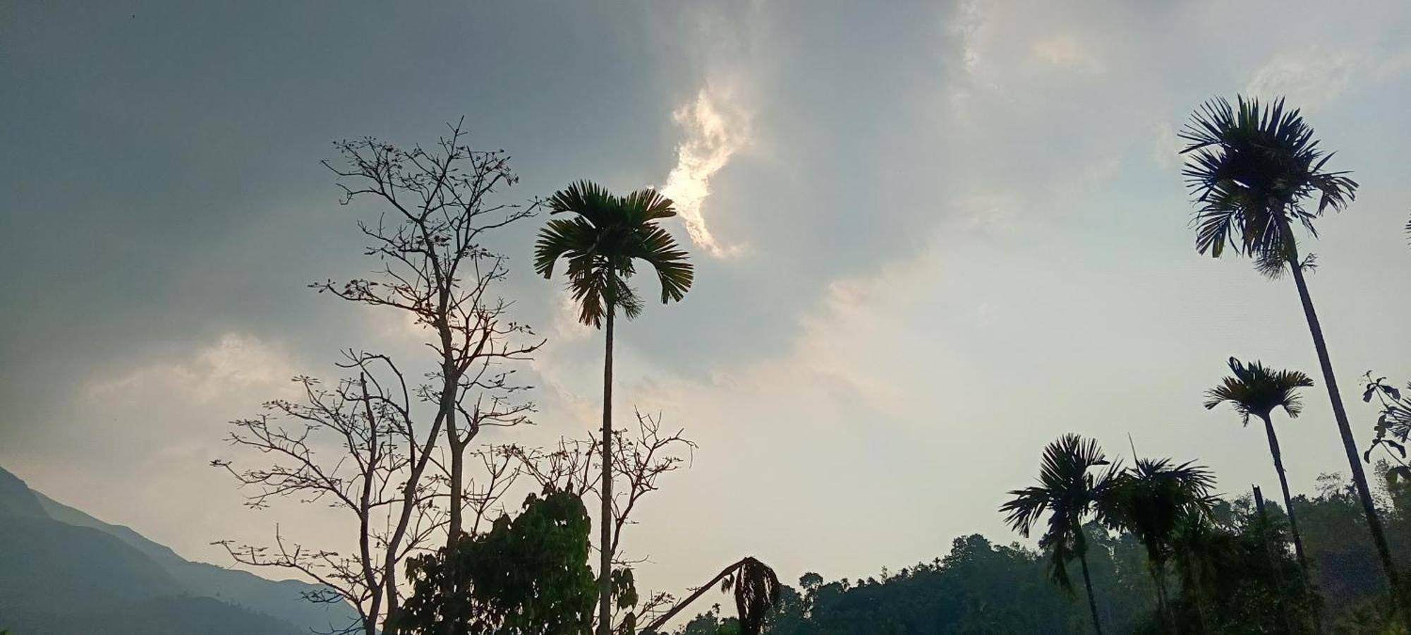 Jungle Valley Ayurvedic Spa Resort Meppādi 외부 사진