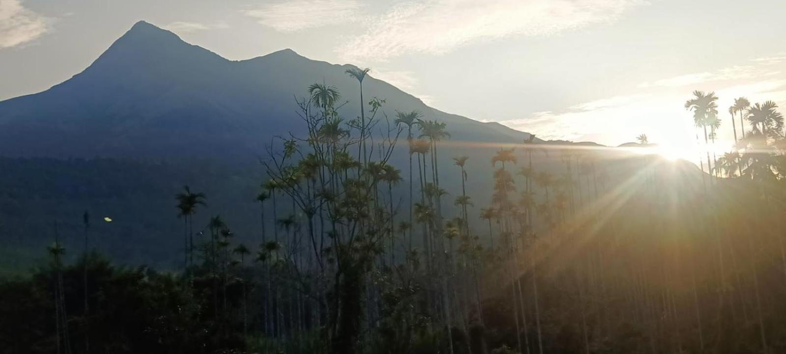 Jungle Valley Ayurvedic Spa Resort Meppādi 외부 사진